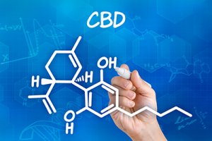 cbd-expert-cannabidiol what is CBD?