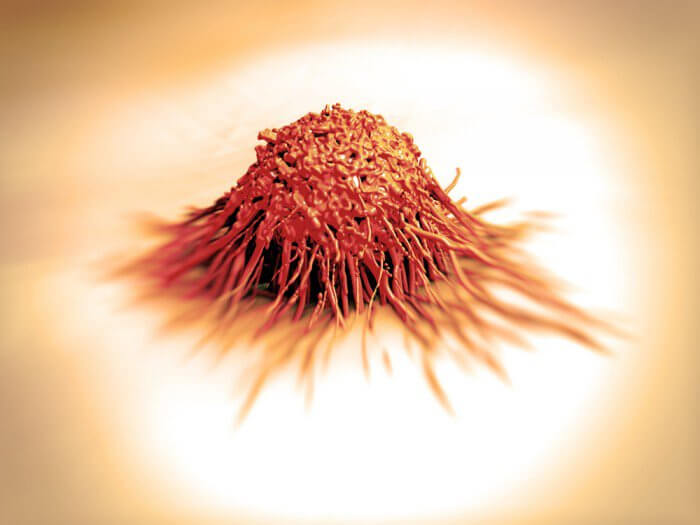 Research: Plants Cure Cancer, Not Chemicals