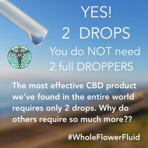 CBD whole flower fluid