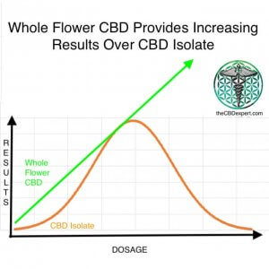 CBD isolate vs whole flower CBD