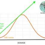 Why Whole Flower CBD is Preferred Over CBD Isolate