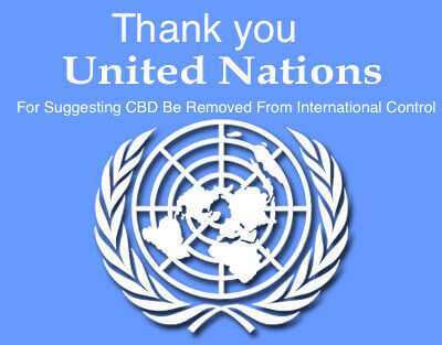 United Nations Recommends CBD Be Removed From International Drug Control