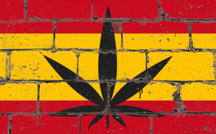 world CBD in Spain