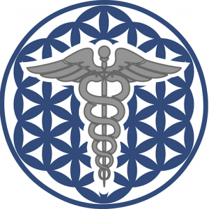 The CBD Expert Europe