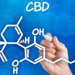 PTSD and CBD | The Endocannabinoid System and Cannabis