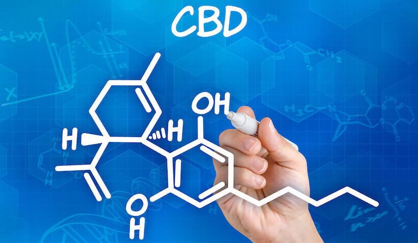 PTSD and CBD | The Endocannabinoid System and Cannabis