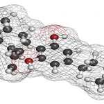 The Endocannabinoid System | Why Does CBD Work on So Many Conditions?