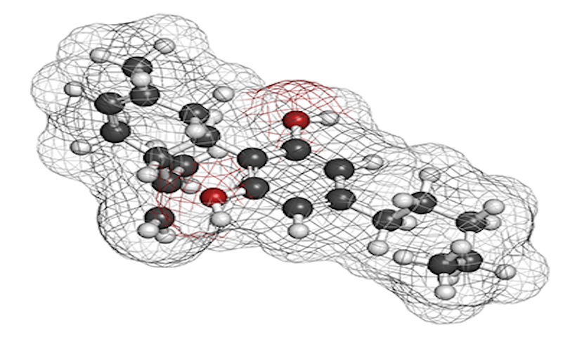 The Endocannabinoid System | Why CBD Works on So Many Conditions