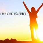 CBD and Artificial Intelligence