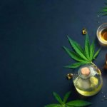 Science-Backed Benefits Of CBD as Examined by Forbes